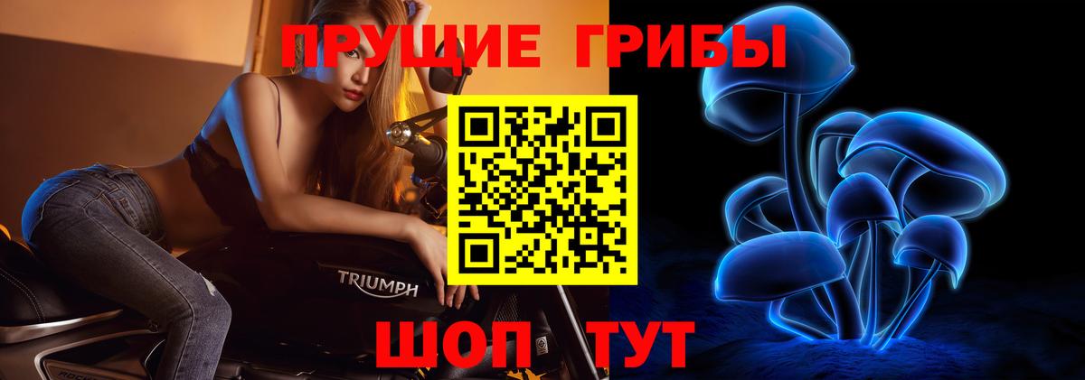 что такое наркотик  Вход с VPN  Сызрань  Галлюциногенные грибы мицелий 